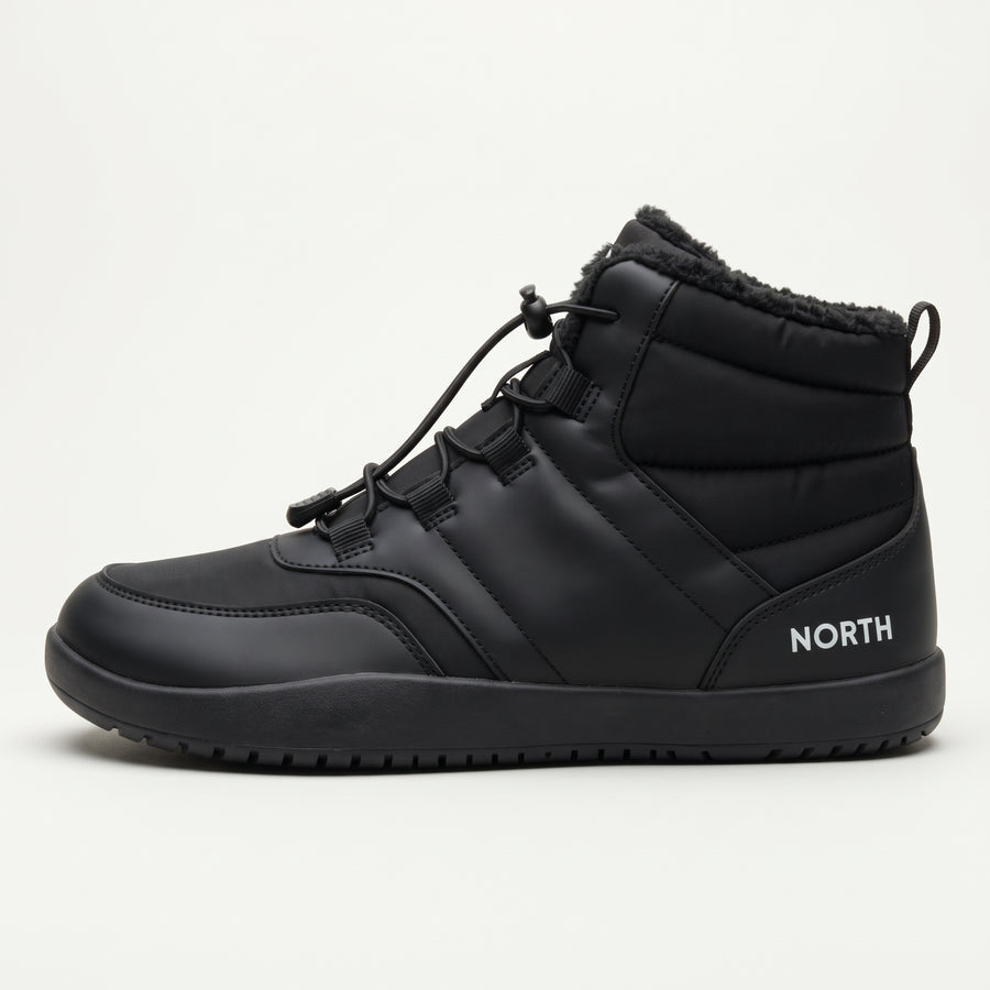 North Arctic