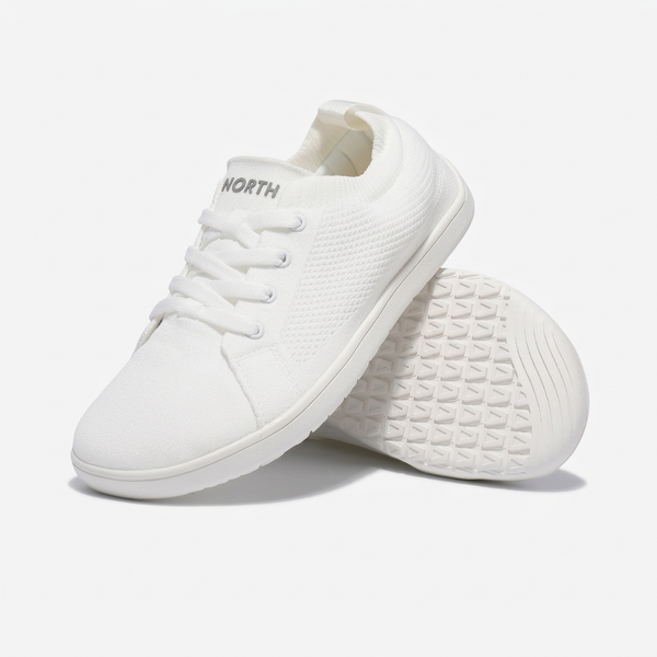North Air Lite