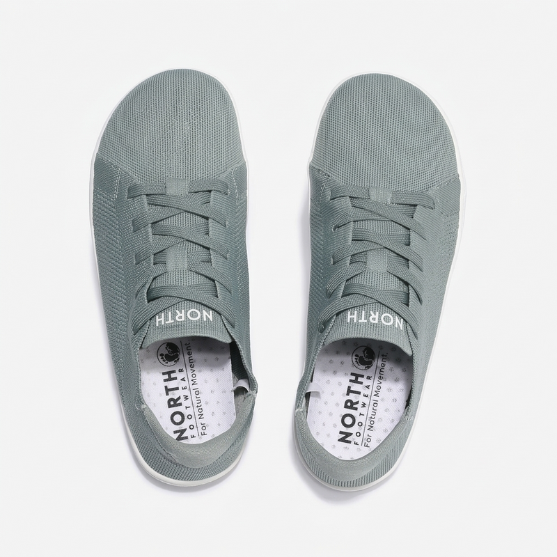 North Motion Elite