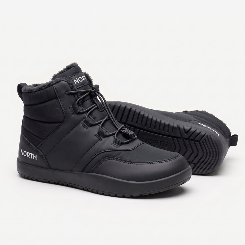 North Arctic